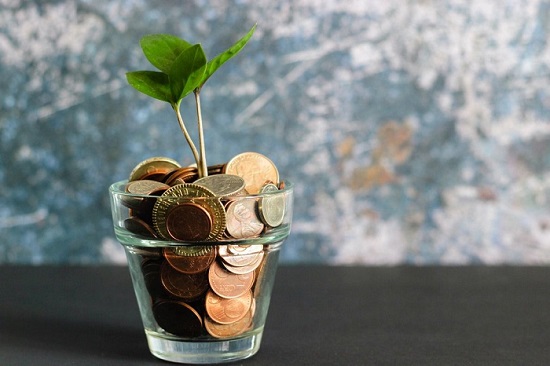 Dividends in Estonia