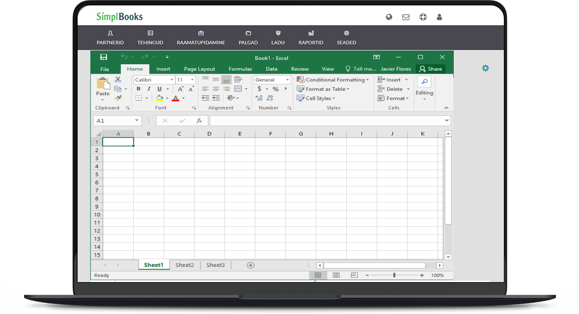 Excel SimplBooksis