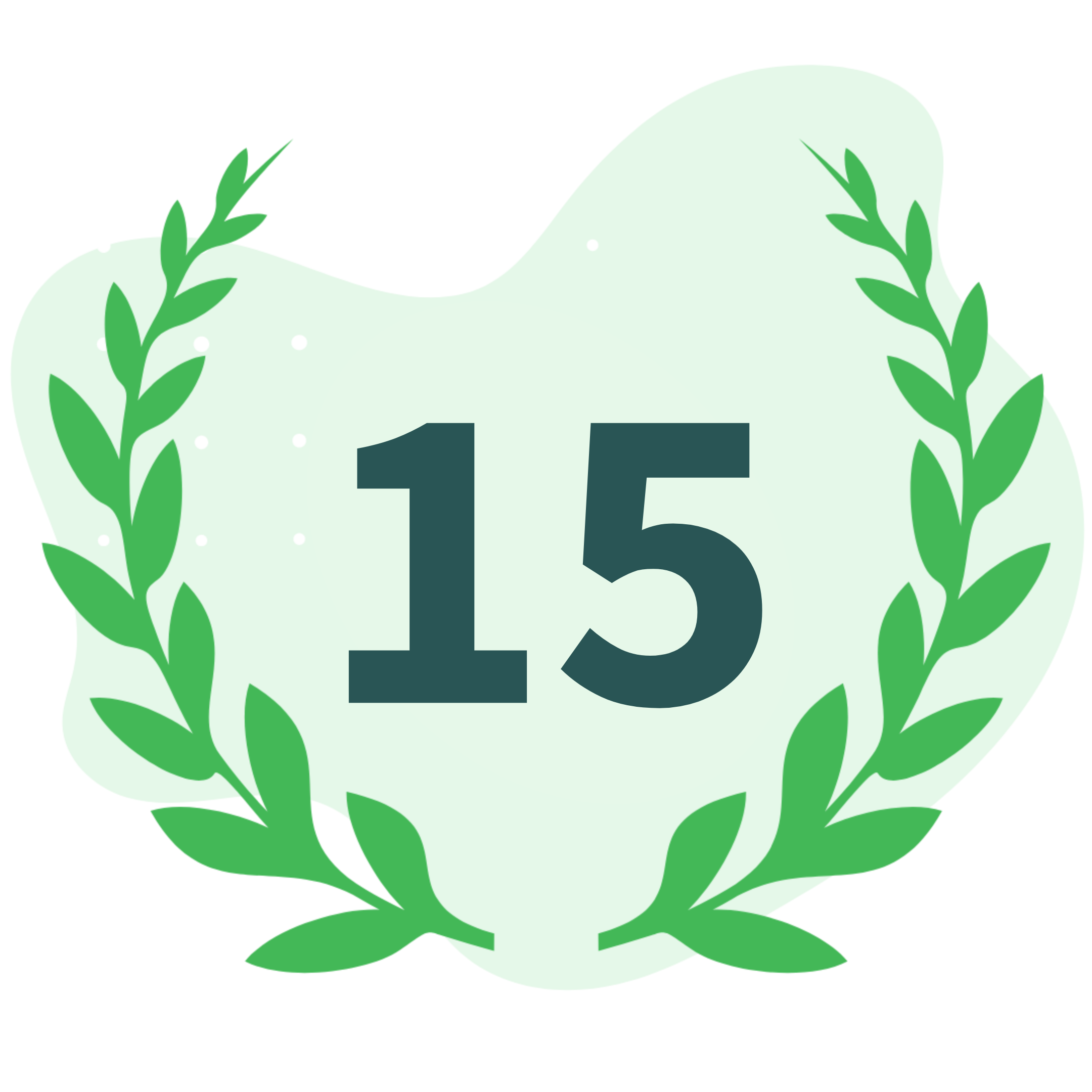 15 aastat